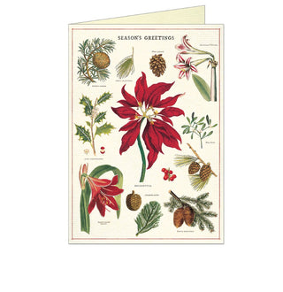Botanica Christmas Boxed Cards