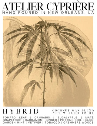 Hybrid Coconut & Beeswax Candle