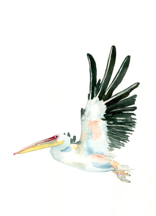 Pelican in Flight print by Bonnie Miller