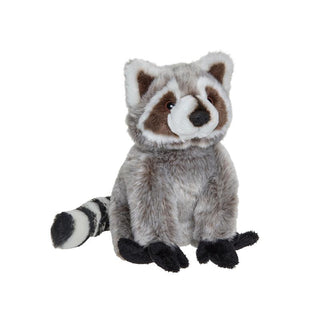 Raccoon with black paws 7"