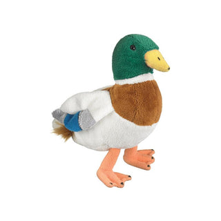 Mallard Duck 8"