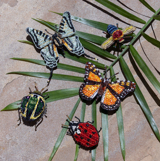 Tortoise Beetle Brooch Pin