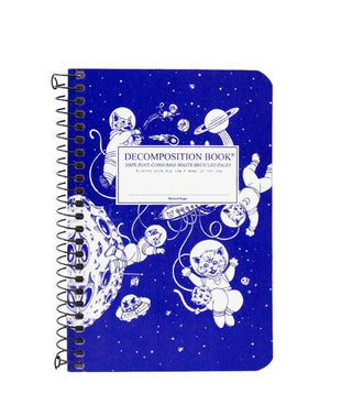 Kittens in Space Pocket Decomposition Book