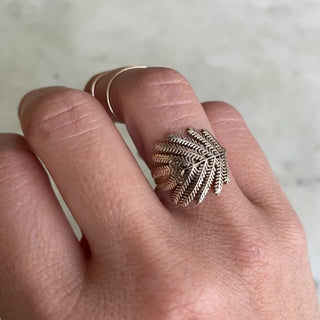 Mimosa Leaf Ring in Bronze