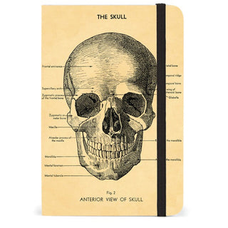 Small Skull Notebook