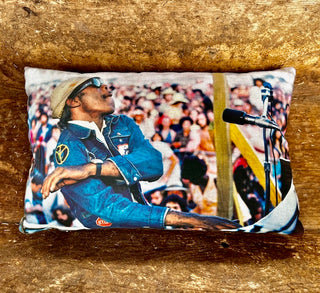 PROFESSOR LONGHAIR PILLOW