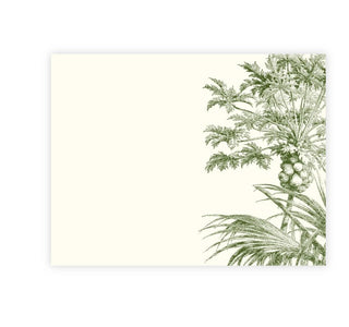 Papaya A2 Notes