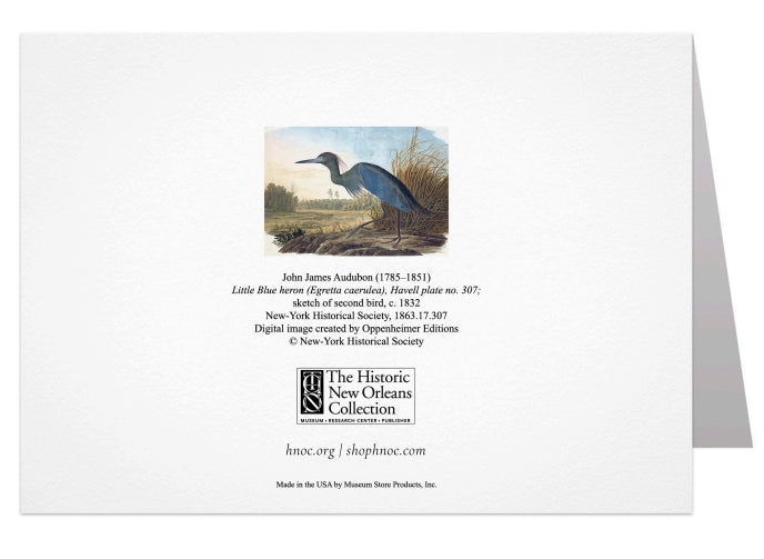 Audubon Blue Heron Notecard 5x7