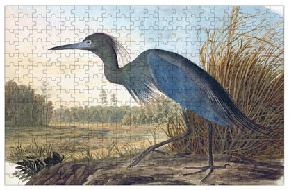 Audubon Puzzles