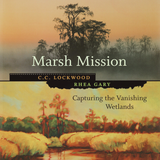 MARSH MISSION: CAPTURING THE VANISHING WETLANDS