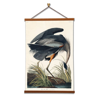 Great Blue Heron Canvas Print by John James Audubon