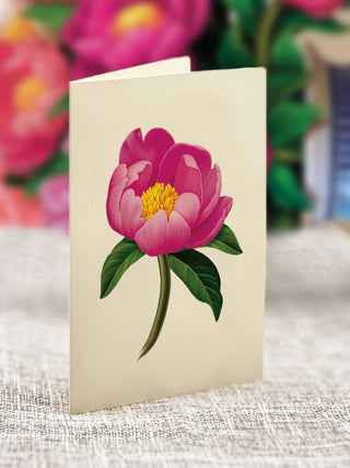 Peony Paradise Pop-up Greeting Card from FreshCut Paper