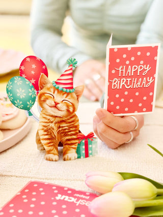 Mini Birthday Kitten Pop-up Greeting Card from Freshcut Paper