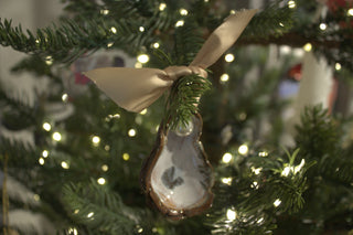 Pearl Oyster Ornament by John Hodge