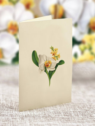 Mini Serenity Orchid Pop-up Greeting Card
