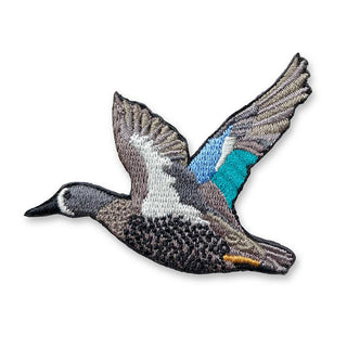 Blue-winged Teal Patch