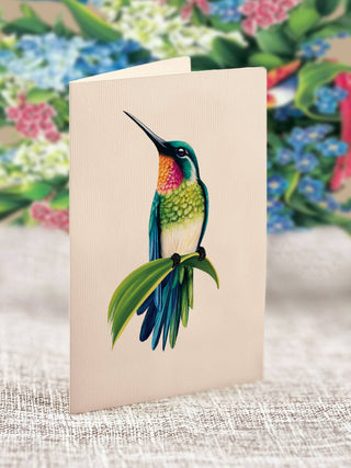 Mini Hummingbird Oasis Pop-up Greeting Card from Freshcut Paper