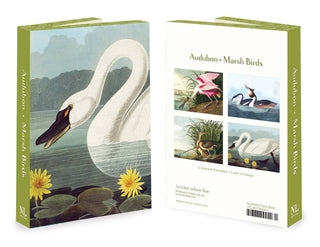 Audubon Marsh Birds Notecard Set