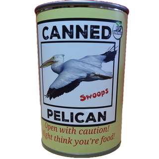 Swoops the Canned Pelican
