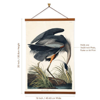 Great Blue Heron Canvas Print by John James Audubon
