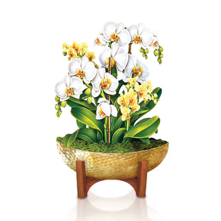 Mini Serenity Orchid Pop-up Greeting Card