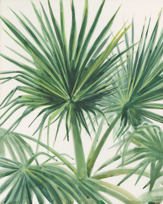 "Palmettos" Watercolor Fine Art Print: 11" x 14"