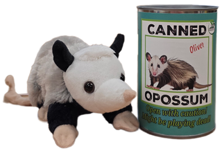 Oliver the Canned Opossum