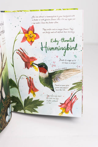 Drawn to Birds: A Naturalist's Sketchbook