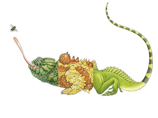 Flip-A-Gator Children's Book