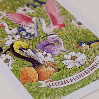 Louisiana Wetland Birds Postcard