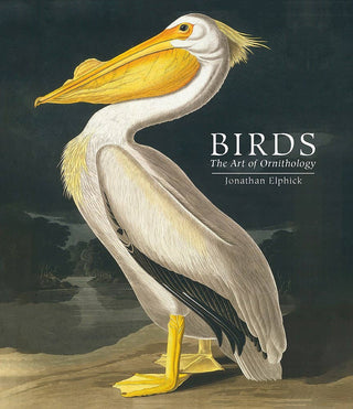 Birds - The Art of Ornithology book