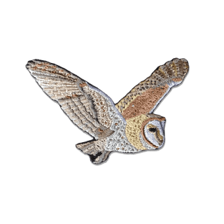 Barn Owl Patch
