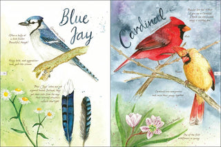 Drawn to Birds: A Naturalist's Sketchbook