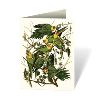 Audubon's Birds of America: An Abbeville Notecard