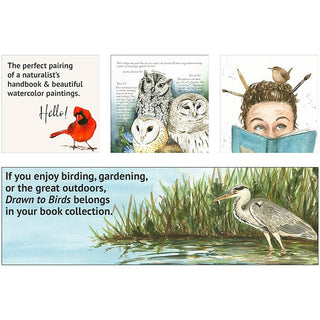 Drawn to Birds: A Naturalist's Sketchbook