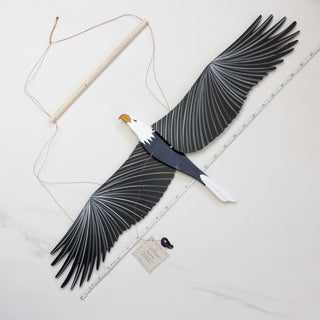 American Bald Eagle BIrd Flying Mobile