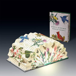 Birds of America Light Book