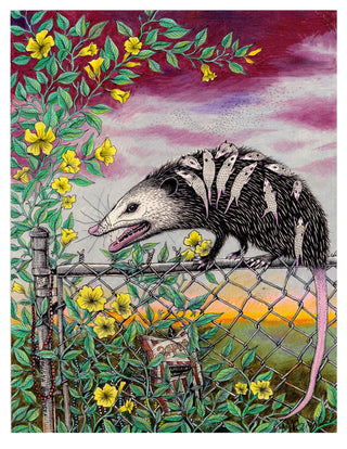 "New Orleans Opossum" Art Print by Fox and Comet | 13" x 18"