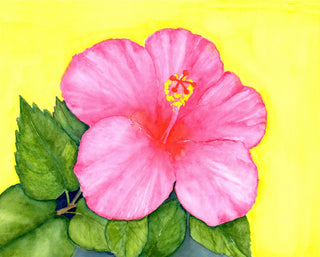 Hibiscus Print by Bonnie Miller