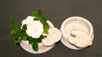 CAMELLIA BOWLS by JOHN HODGE