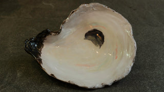 OYSTER BOWL - XL