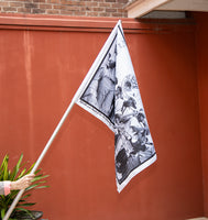 FLAGS FEATURING IMAGES FROM MICHAEL P. SMITH