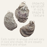 OYSTER SHELL ORNAMENTS