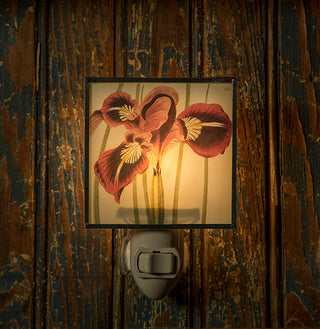 Iris Botanical | Night Light