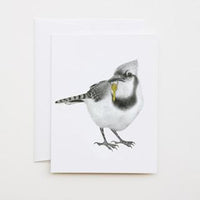 Ray Pembroke Blue Jay Note Card