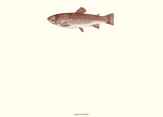 Trout A6 Notecards | Alexa Pulitzer